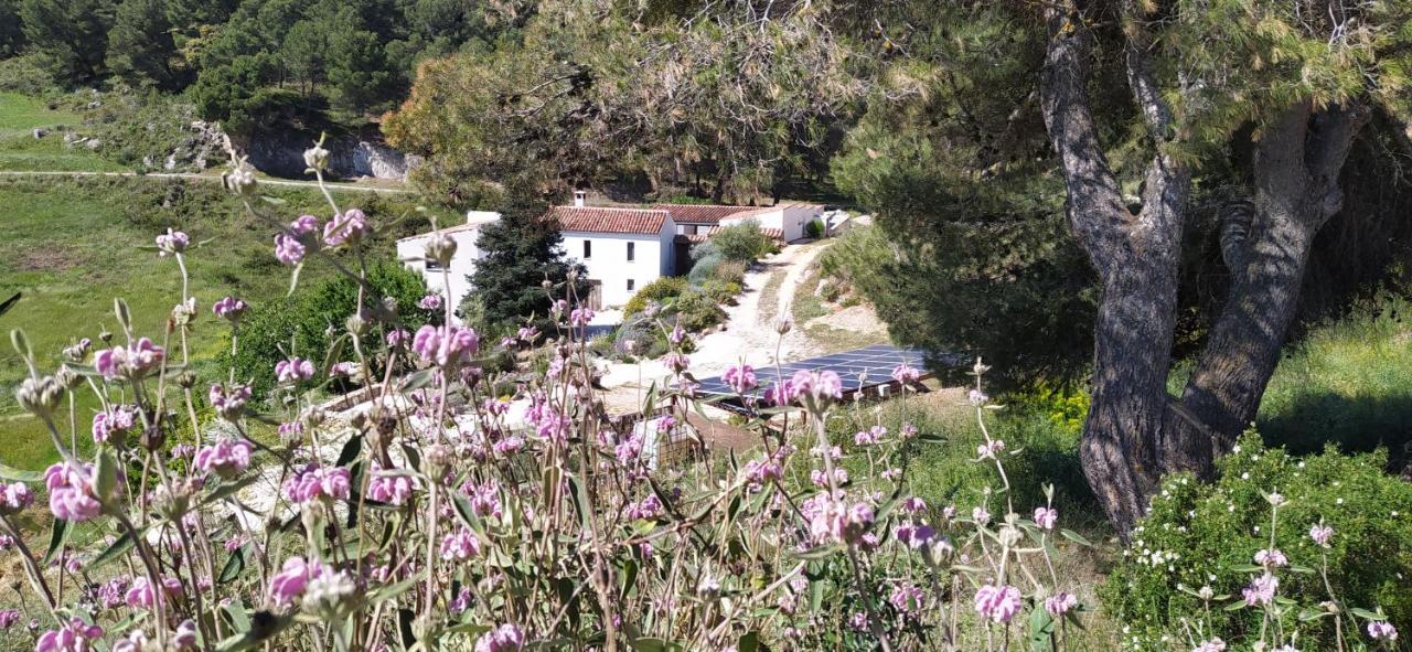 Finca Las Morenas Yunquera Екстериор снимка