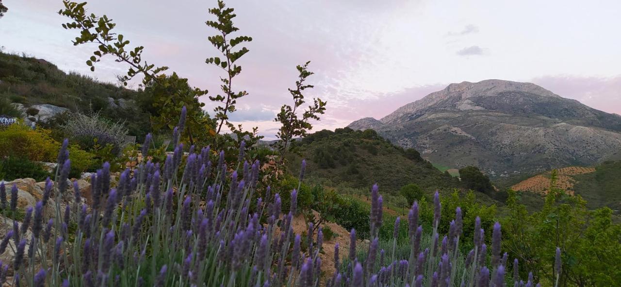 Finca Las Morenas Yunquera Екстериор снимка