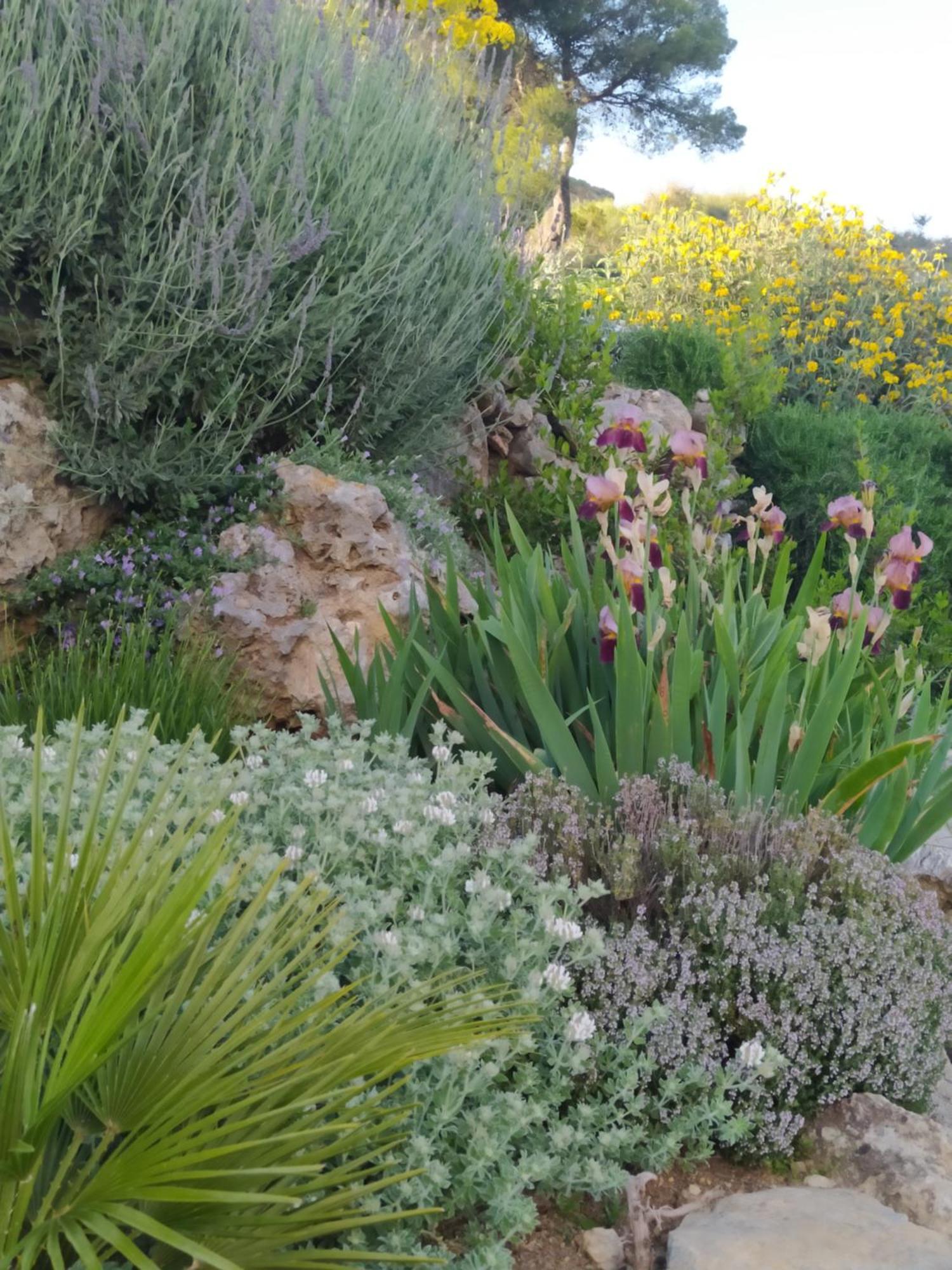 Finca Las Morenas Yunquera Екстериор снимка