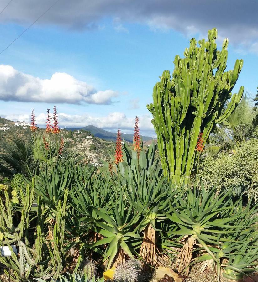 Finca Las Morenas Yunquera Екстериор снимка