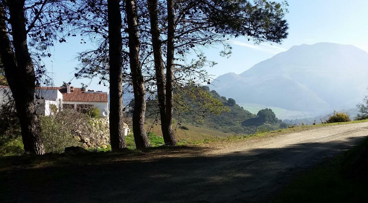 Finca Las Morenas Yunquera Екстериор снимка