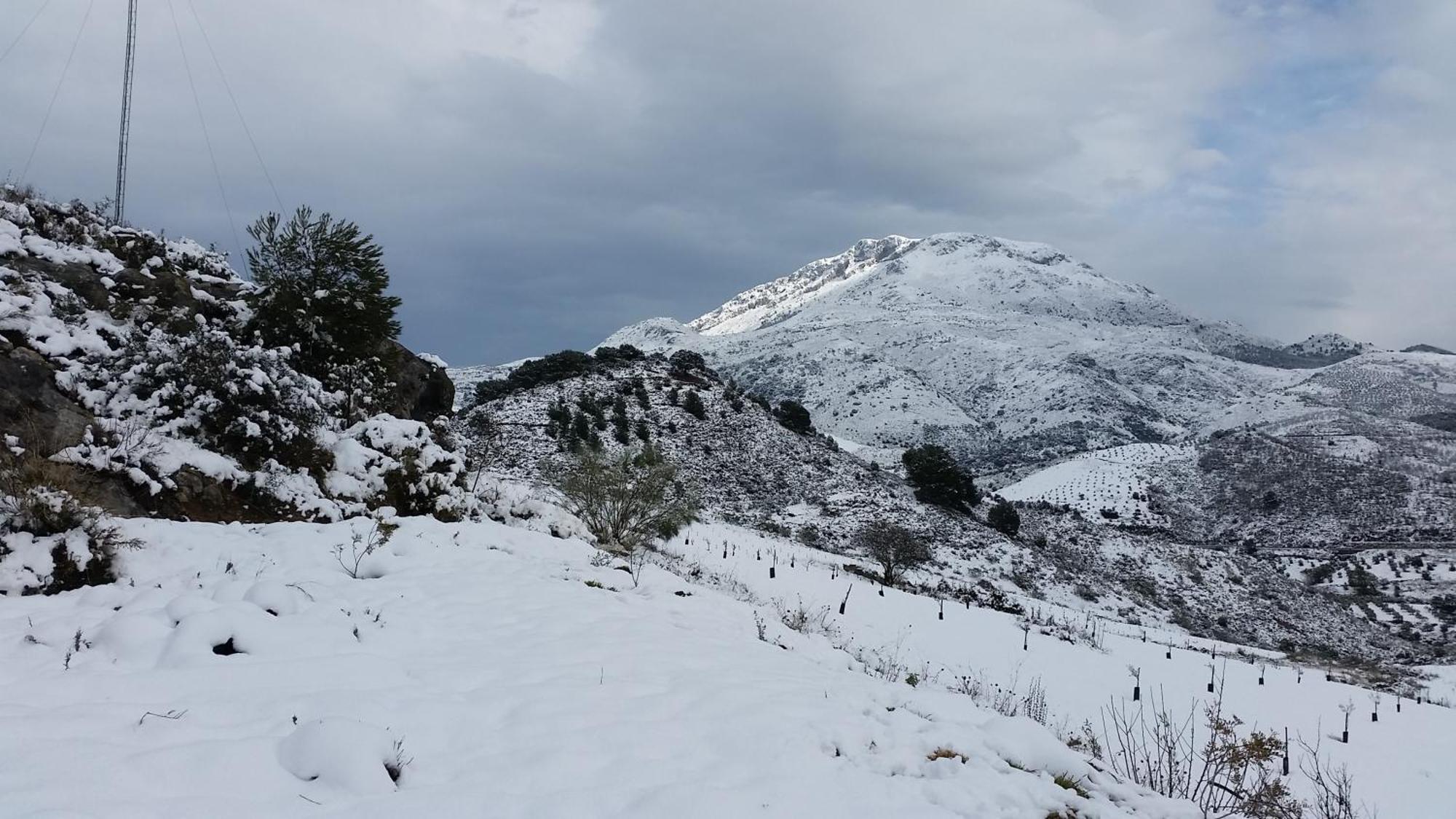 Finca Las Morenas Yunquera Екстериор снимка