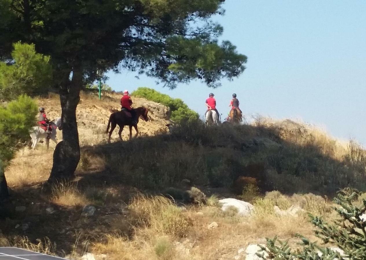 Finca Las Morenas Yunquera Екстериор снимка