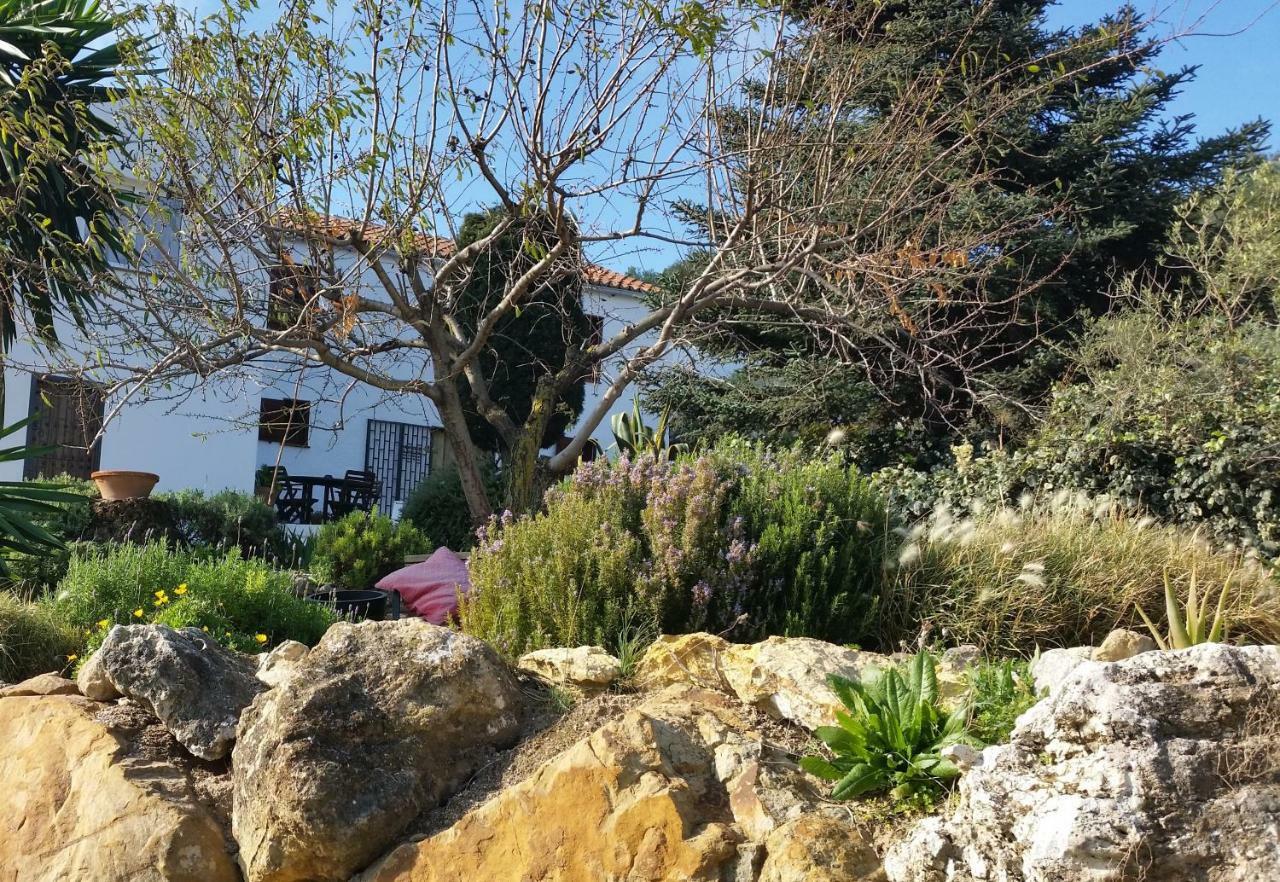 Finca Las Morenas Yunquera Екстериор снимка